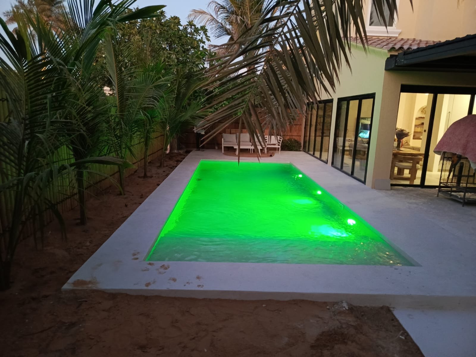 126454-147193-1195121042738187